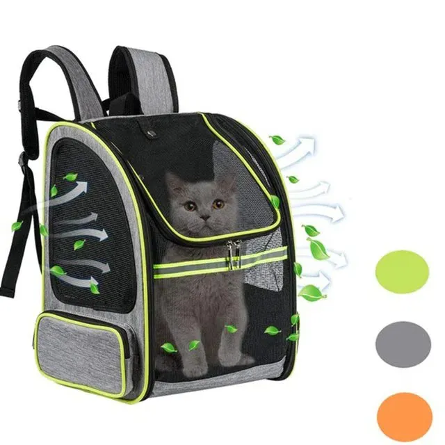 กระเป๋าใส่หนูตะเภา