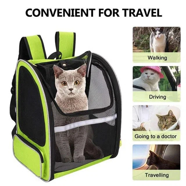 guinea-pig-carrier-bag20190857793